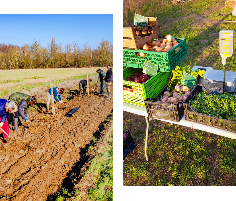 Producteur légumes Hanches, Producteur légumes Épernon, Producteur légumes Chartres, Producteur légumes Dreux