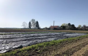 Présentation des jardins