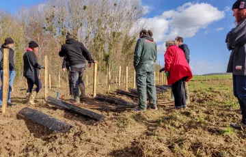 Présentation des jardins