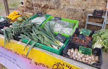 Les produits  du terroir