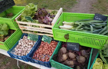 Les produits  du terroir