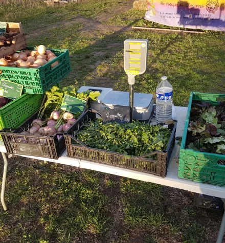 Les produits  du terroir