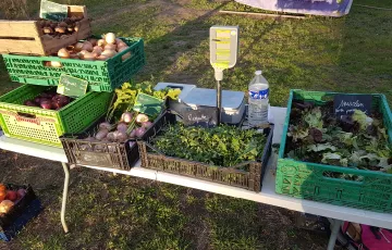 Les produits  du terroir