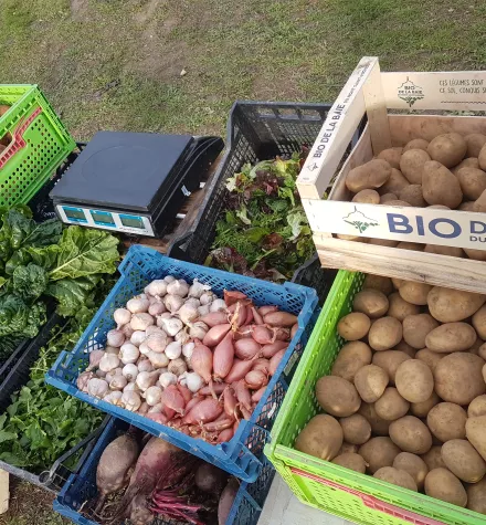 Les produits  du terroir