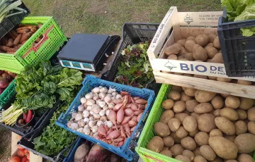 Les produits  du terroir