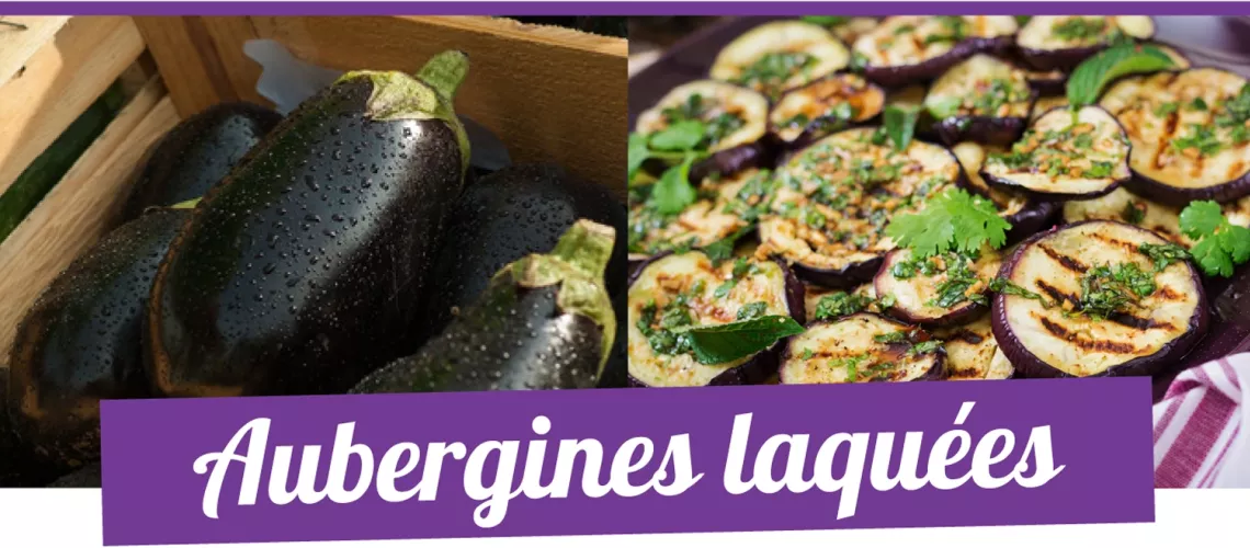 AUBERGINE TONIQUE