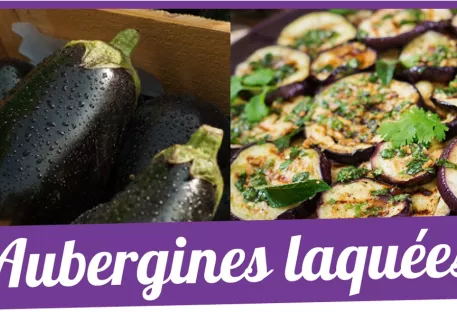 AUBERGINE TONIQUE