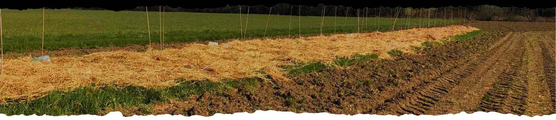 LE POTAGER DE CHEZ NOUS